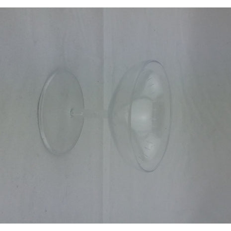 Champagne Glass Clear