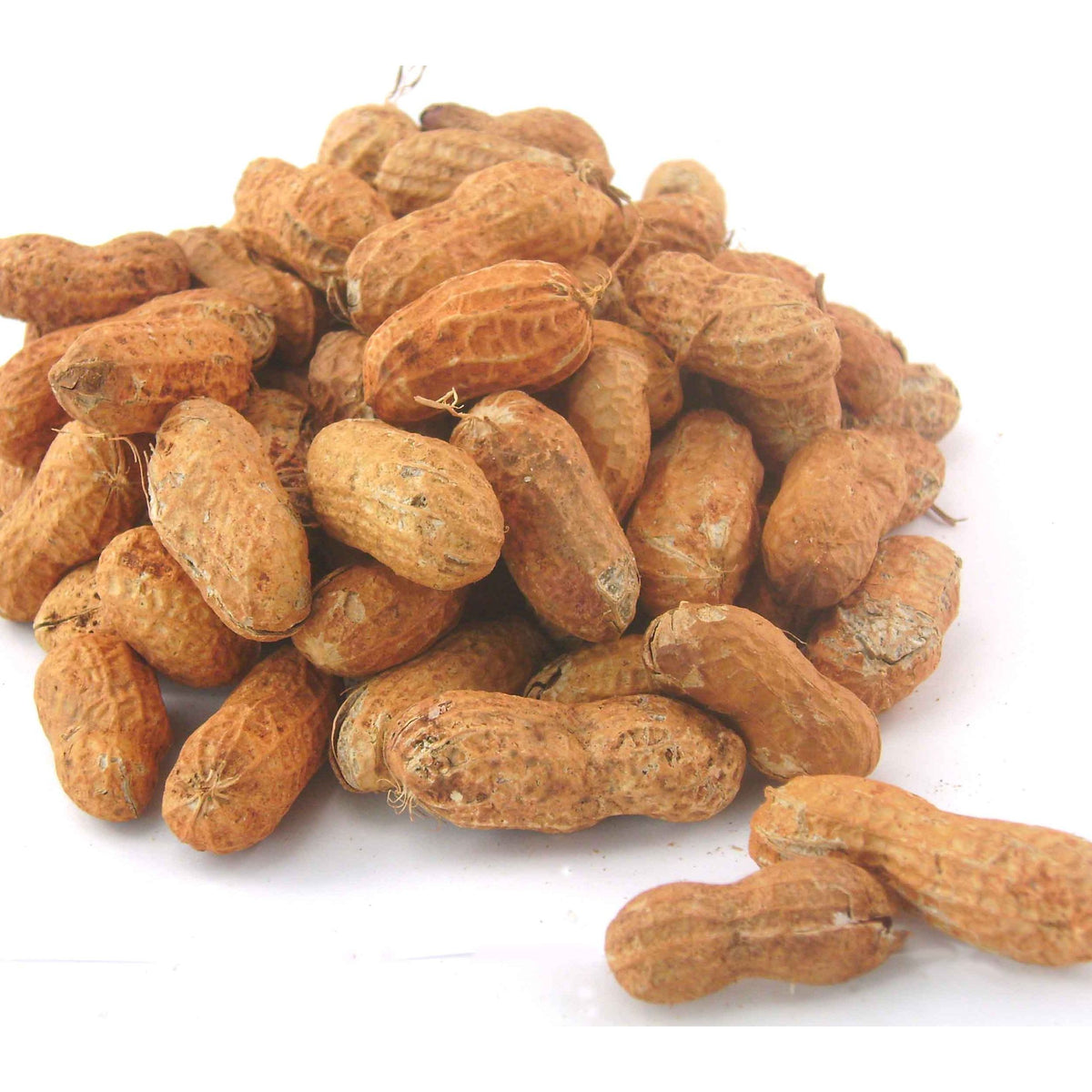 Peanut - In shell (Roasted) (20kg)