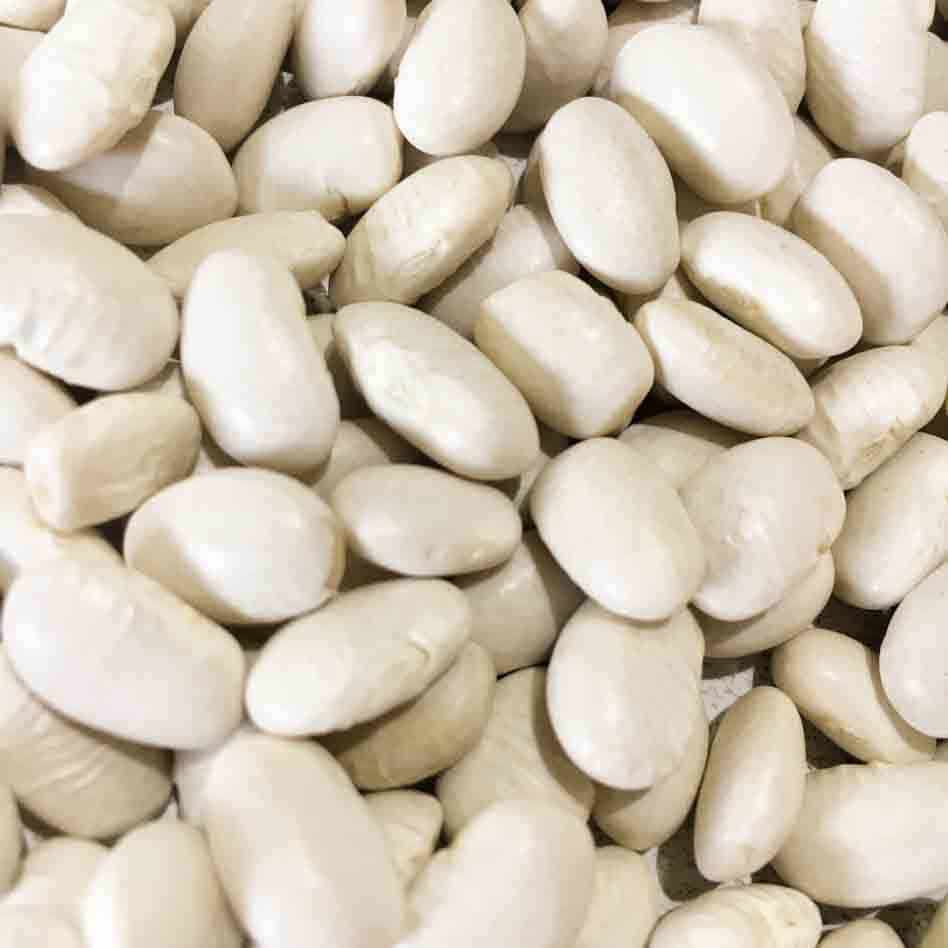 Great Northen Beans (25kg)