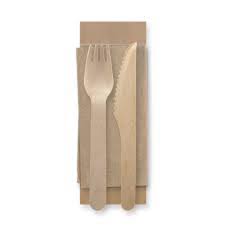 Fork Knife & Folded Napkin