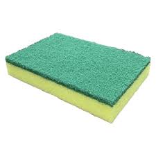 Scourer Sponge (150x100)