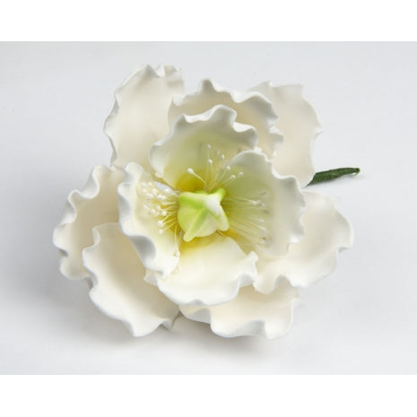 Peony Rose Medium 9 per box - Sugar Dec