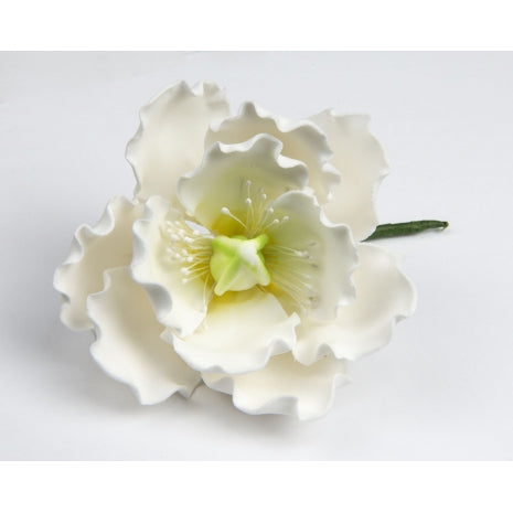 Peony Rose Small 16 per box - Sugar Dec