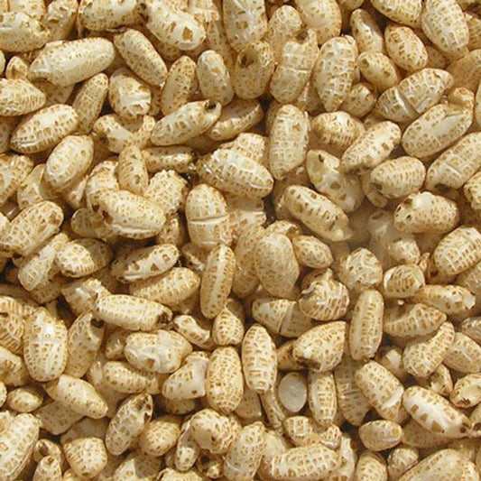 Puffed Rice (Brown) (2.5kg)