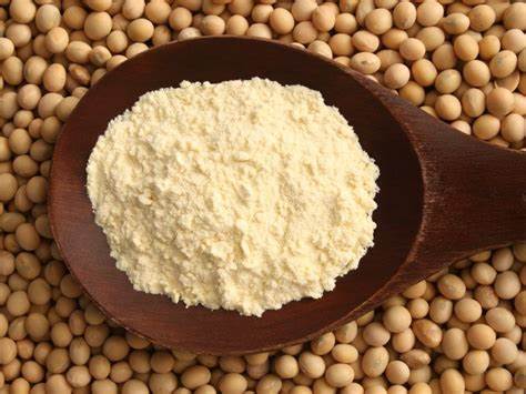 Soy Flour 25kg