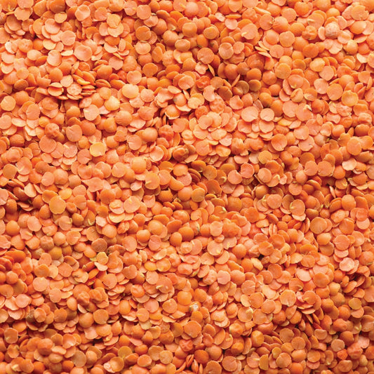 Red Lentil (25kg)